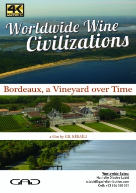 Poster of Bordeaux, a vineyard over time (France)