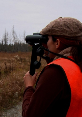 Poster of The quest for the old portage