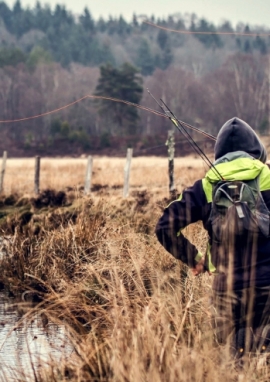 Affiche de Les truites du Limousin